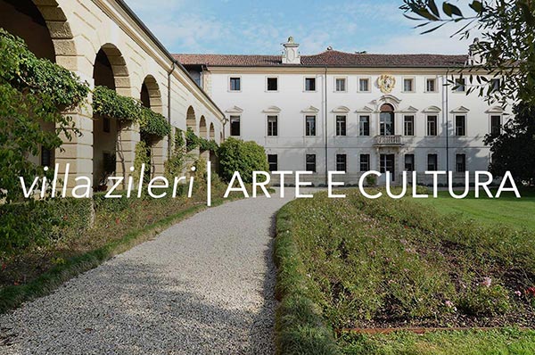 villa zileri